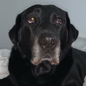 Meet your Posher, Patti